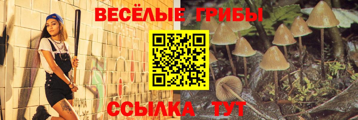 Псилоцибиновые грибы GOLDEN TEACHER  Вход с VPN  Ржев 